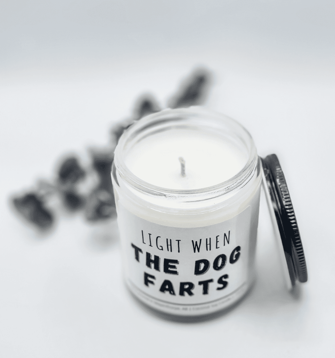 Light when Dog Farts - Funny, Rude, Sweary Candle, Naughty