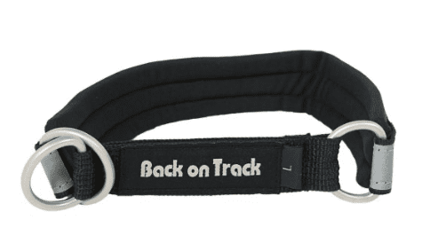 Back on Track Molly Dog Collar