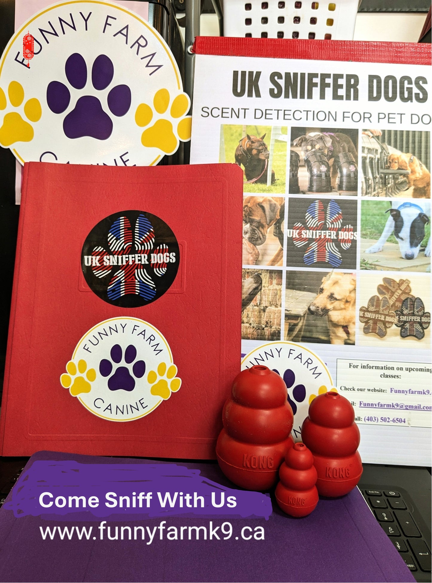 Pet Dog Scent Detection - UK Sniffer dogs Bronze Scent Detection Level 1