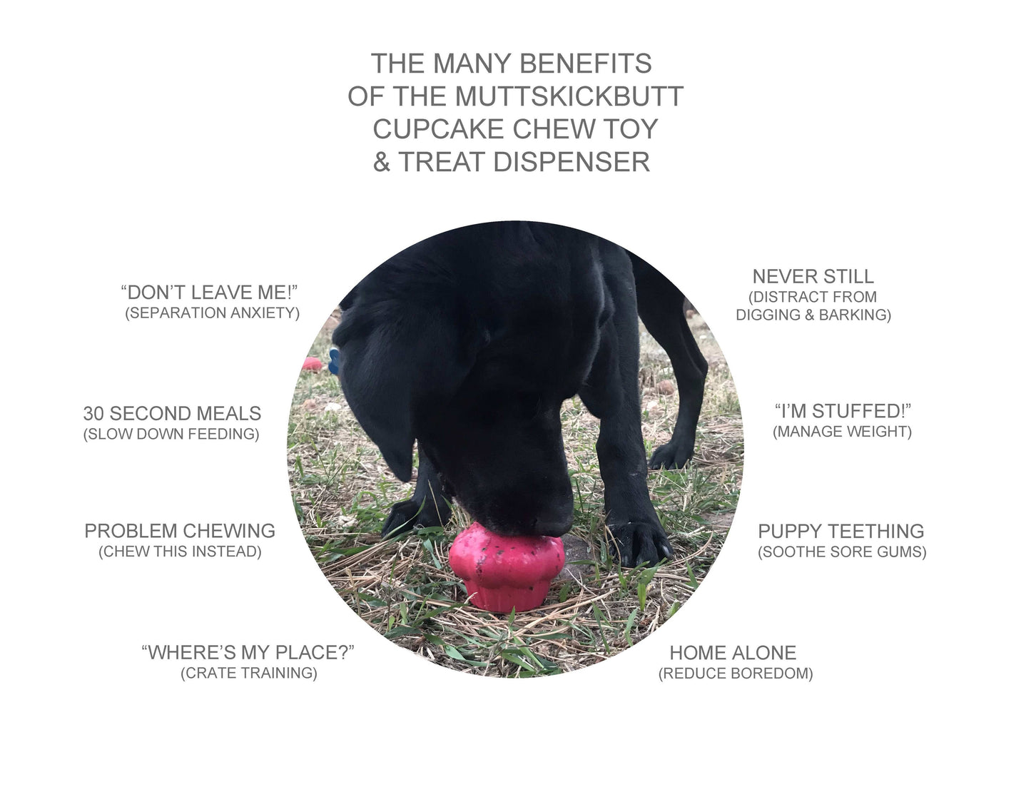 Cupcake Durable Rubber Chew Toy & Treat Dispenser - Red