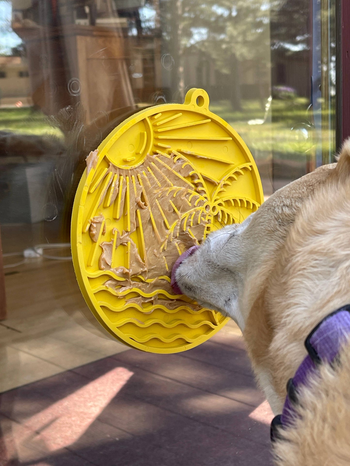 Sun n' Sea eMat Enrichment Lick Mat With Suction Cups