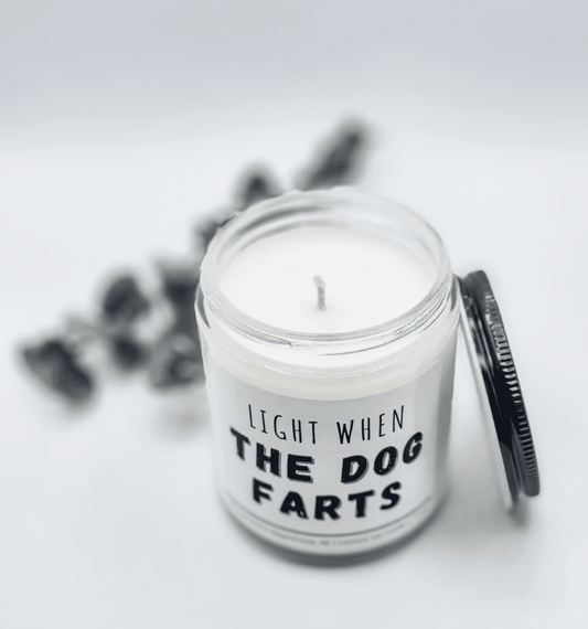 Light when Dog Farts - Funny, Rude, Sweary Candle, Naughty